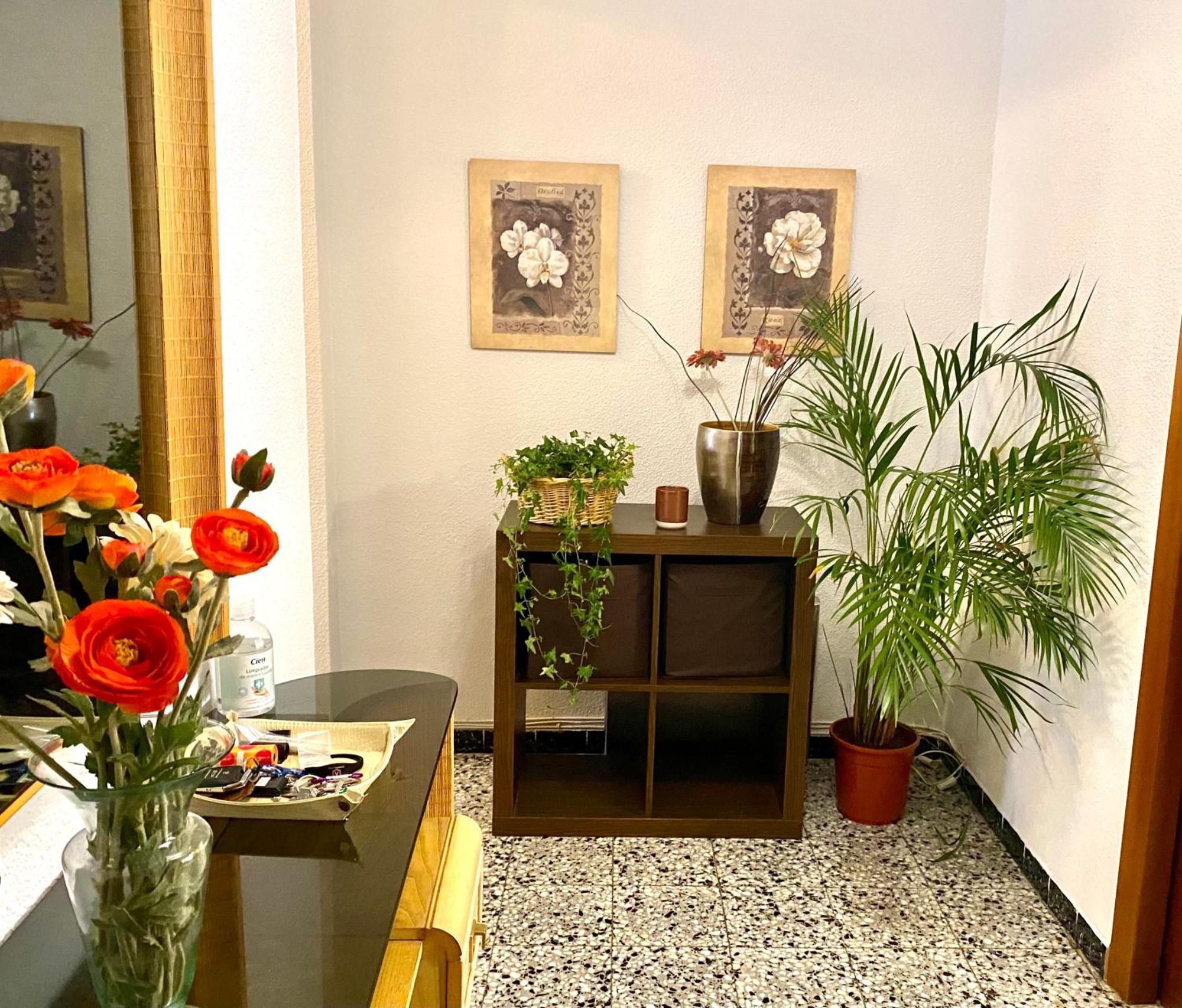 Habitacion My Home Αλικάντε Εξωτερικό φωτογραφία